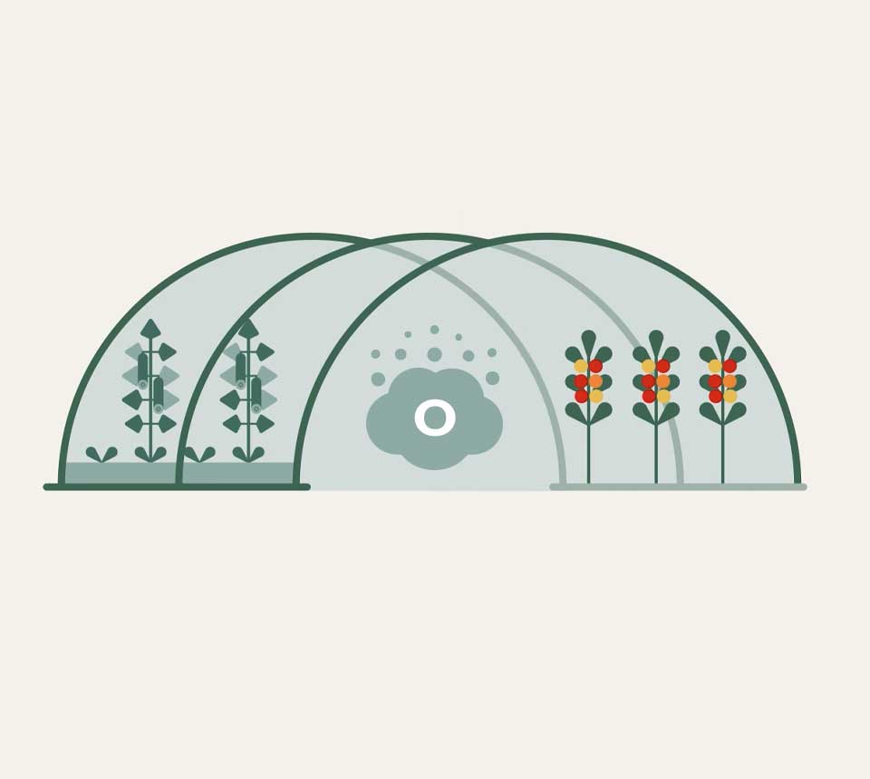 Cardbon dioxide is turned into oxygen