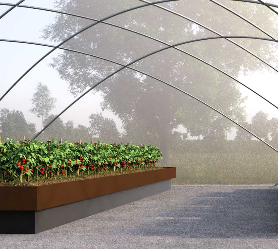 Crops growing in growing dome