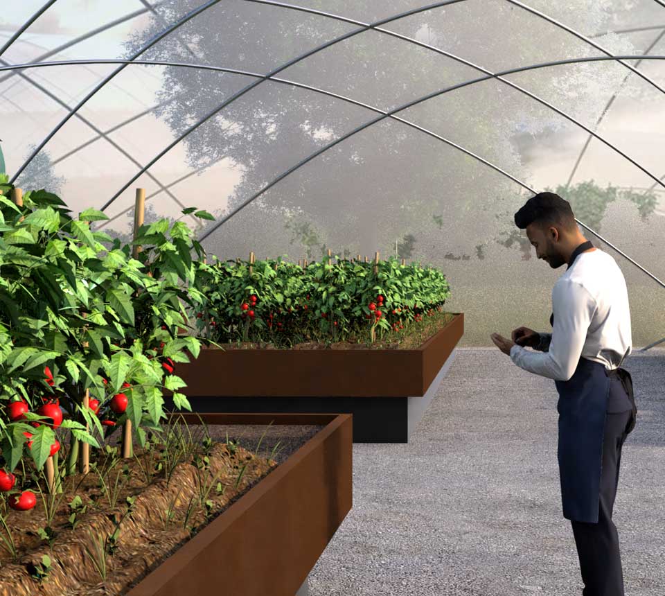 Staff tending to vegetables inside growing dome