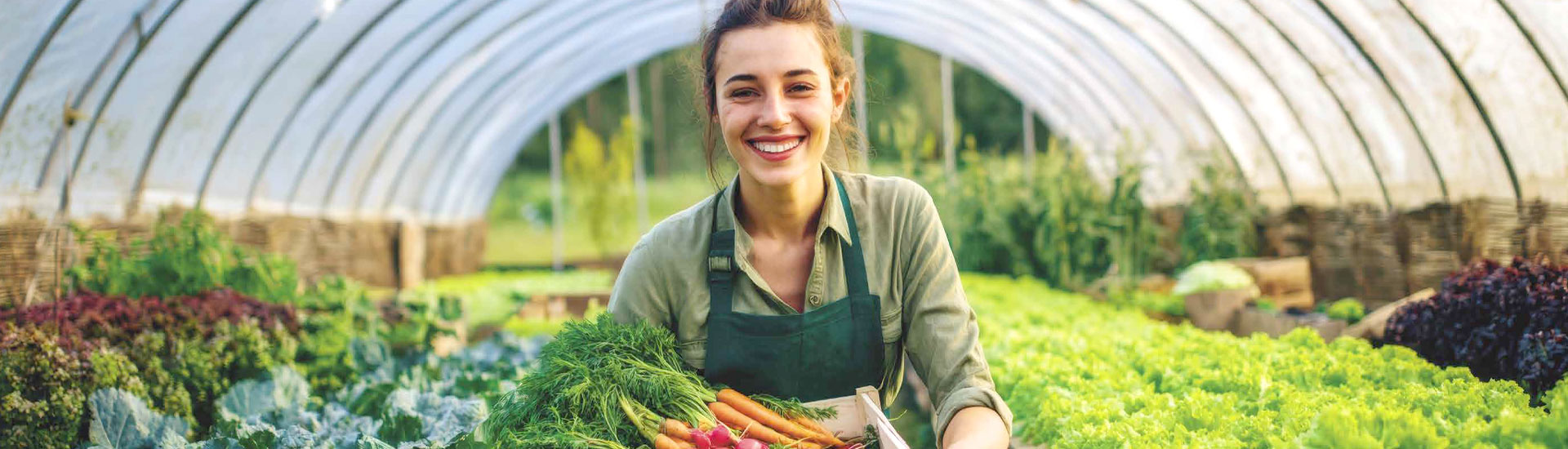 Sustain wiltshire staff with vegetables